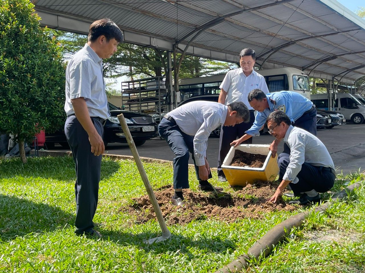 Bàng vuông Trường Sa, một biểu tượng sức sống mãnh liệt